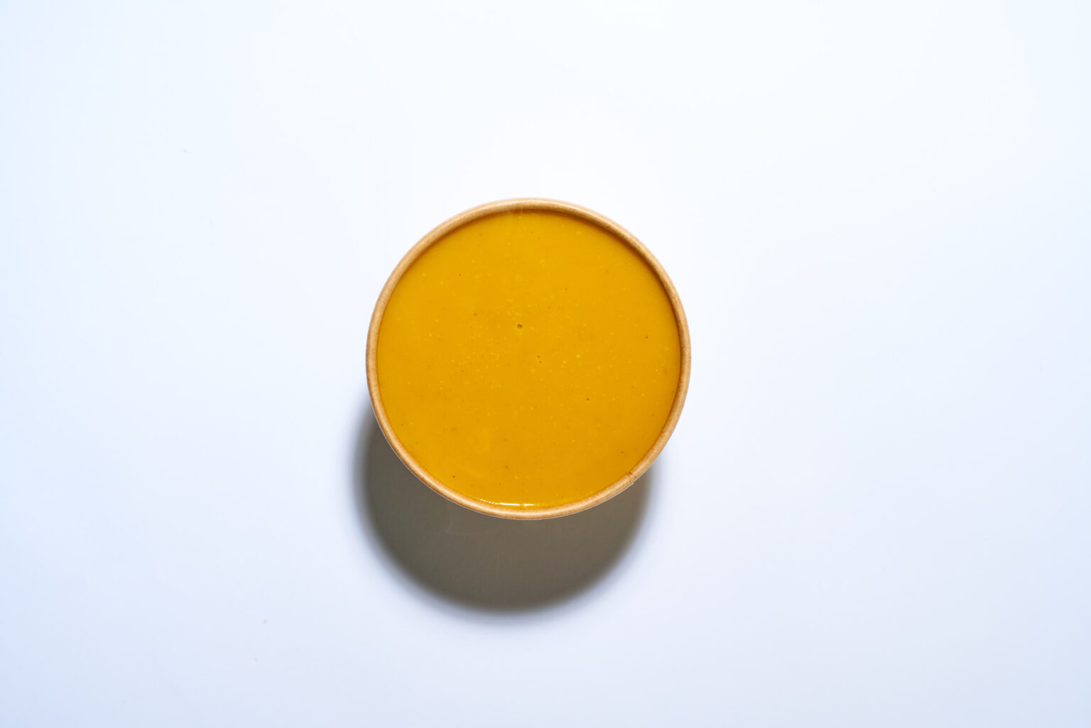 Springbone Cups Carrot Ginger Soup - Springbone